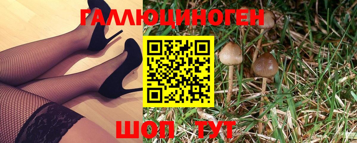Ростов-на-Дону  Галлюциногенные грибы мухоморы  Вход с VPN  Галлюциногенные грибы ЛСД 
